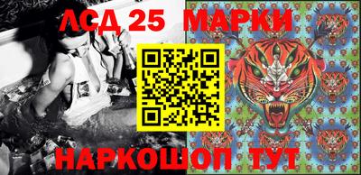 apvp Кингисепп