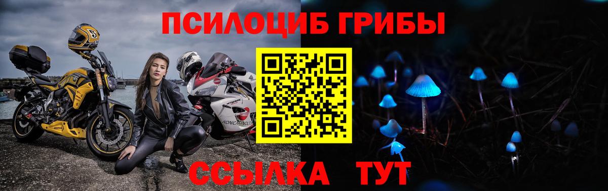 Псилоцибиновые грибы мухоморы Волоколамск